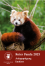 Deckblatt der Klappkarte vom Roten Panda 2023