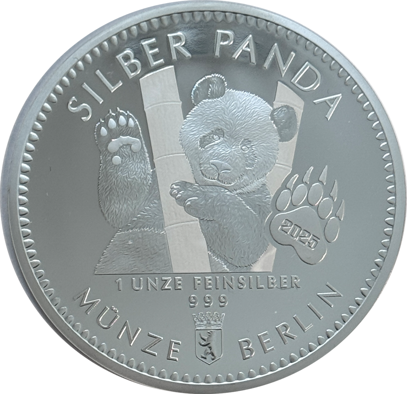 Silber Panda 2025 XL-Format 65 mm