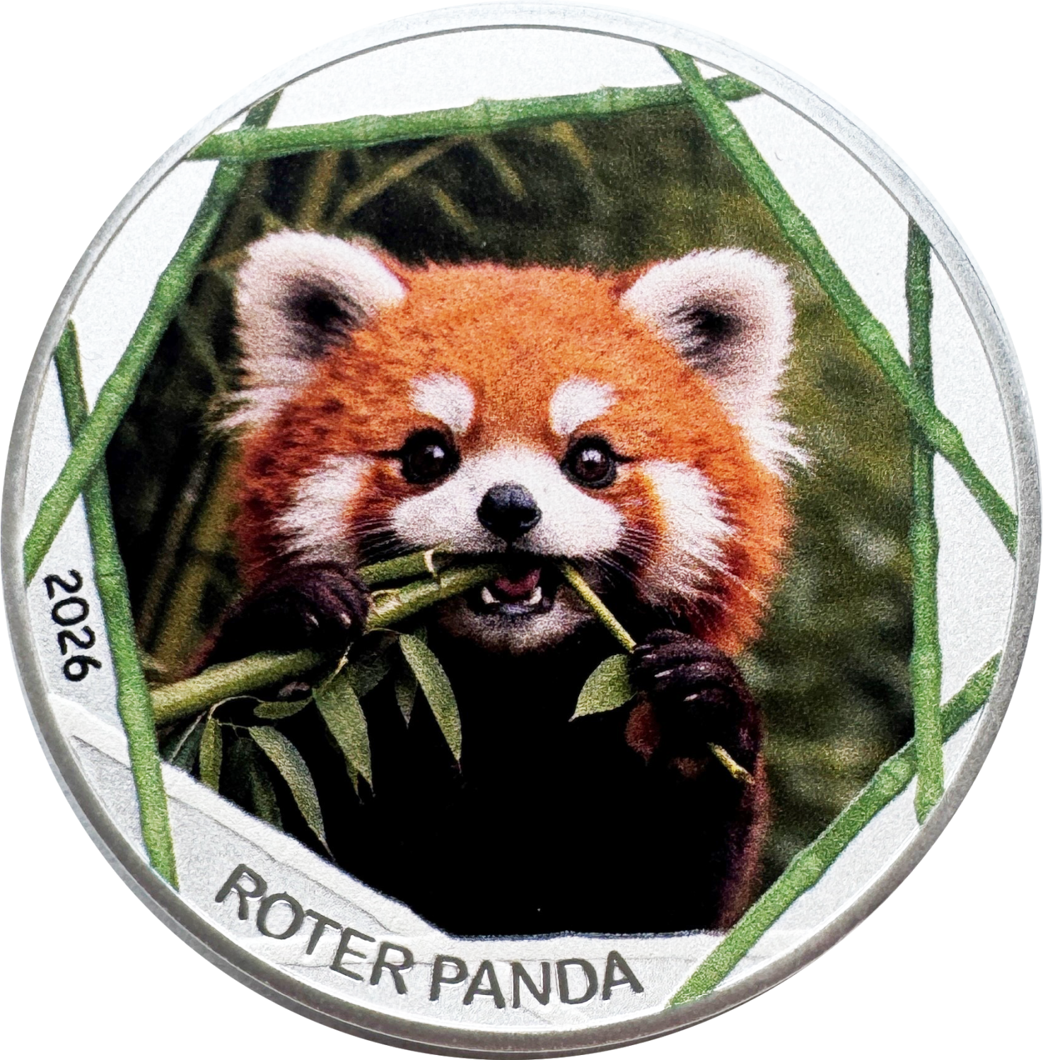 Roter Panda 2026