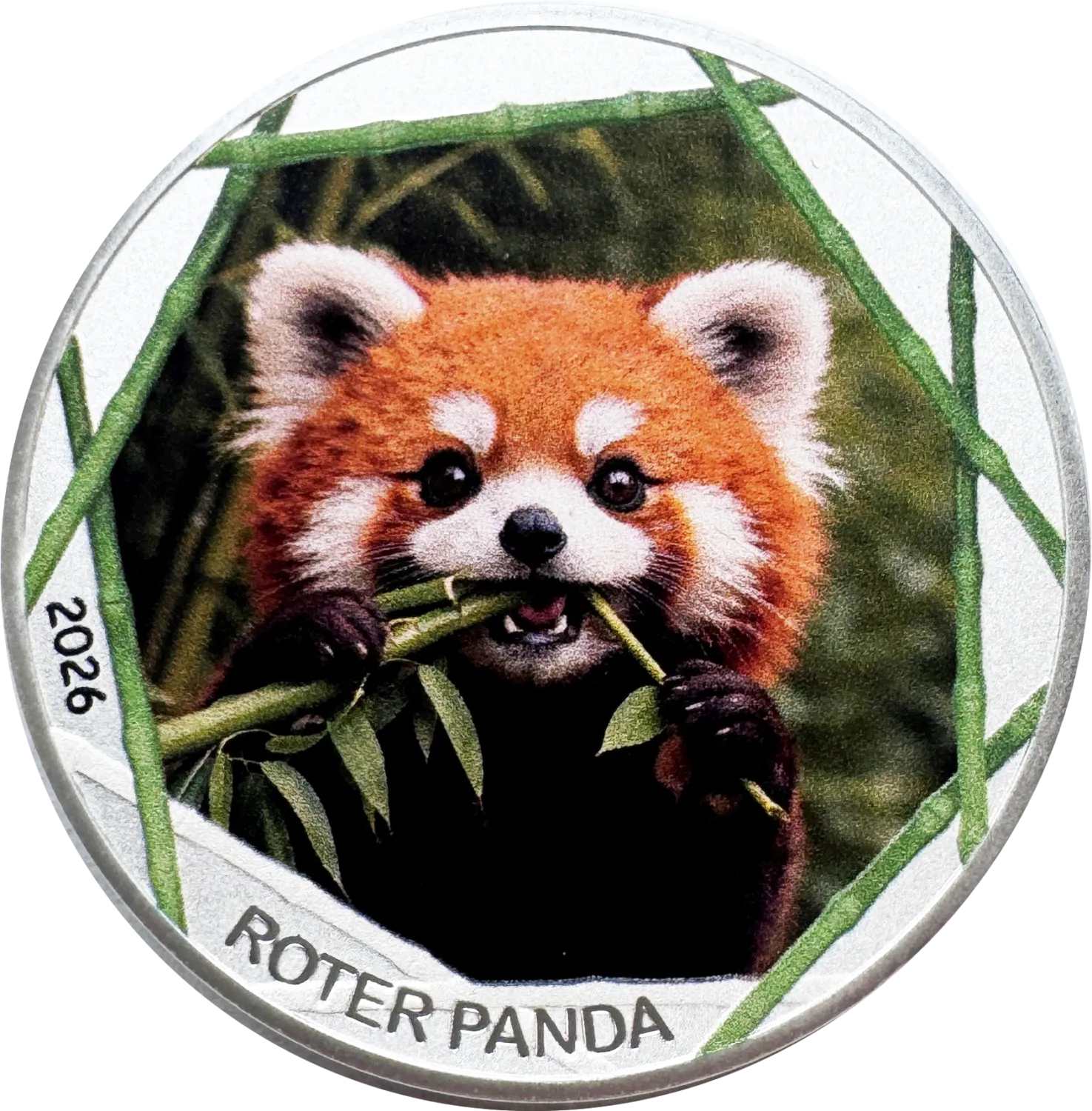 Roter Panda 2026
