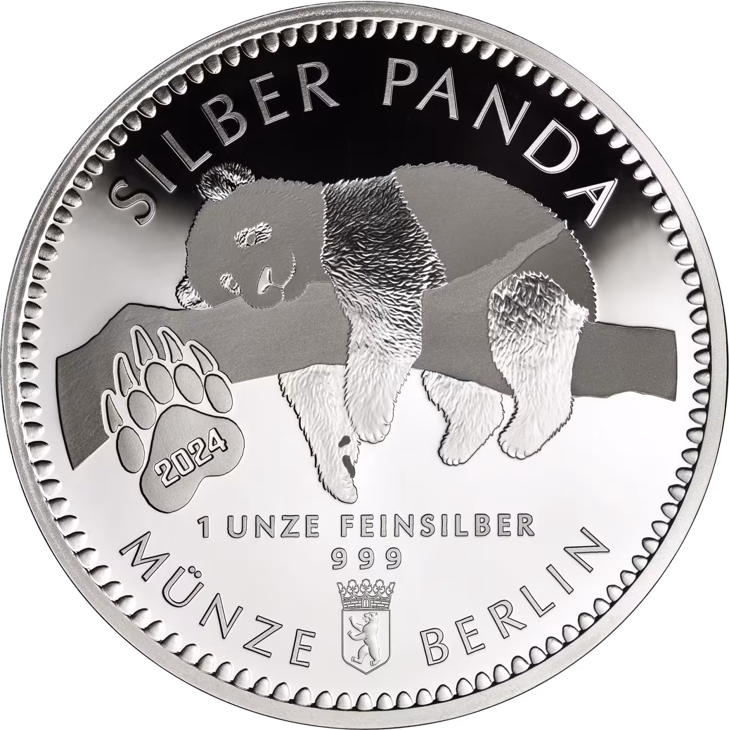 Silber Panda 2024 XL-Format 65 mm