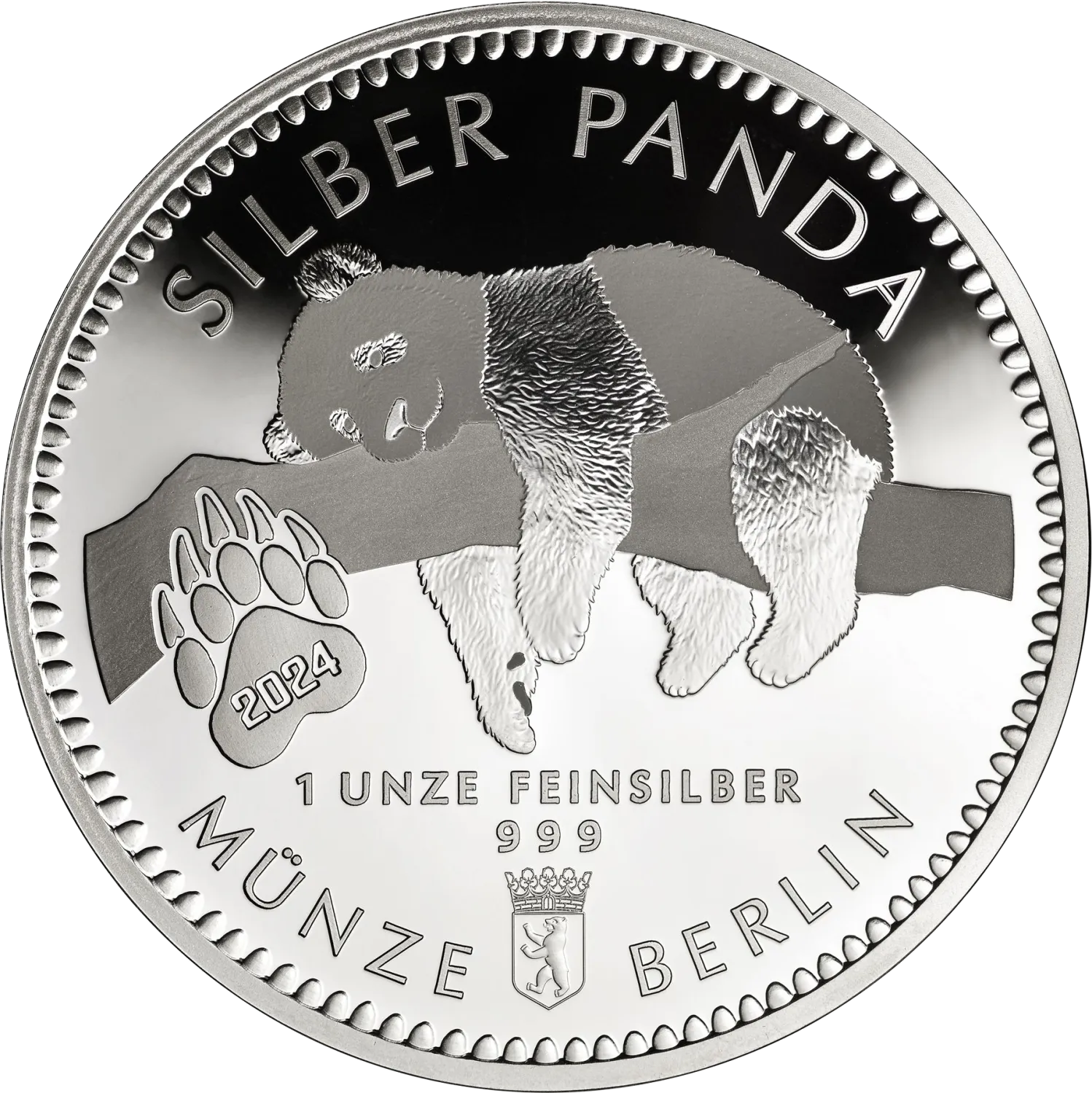 Silber Panda 2024 XL-Format 65 mm