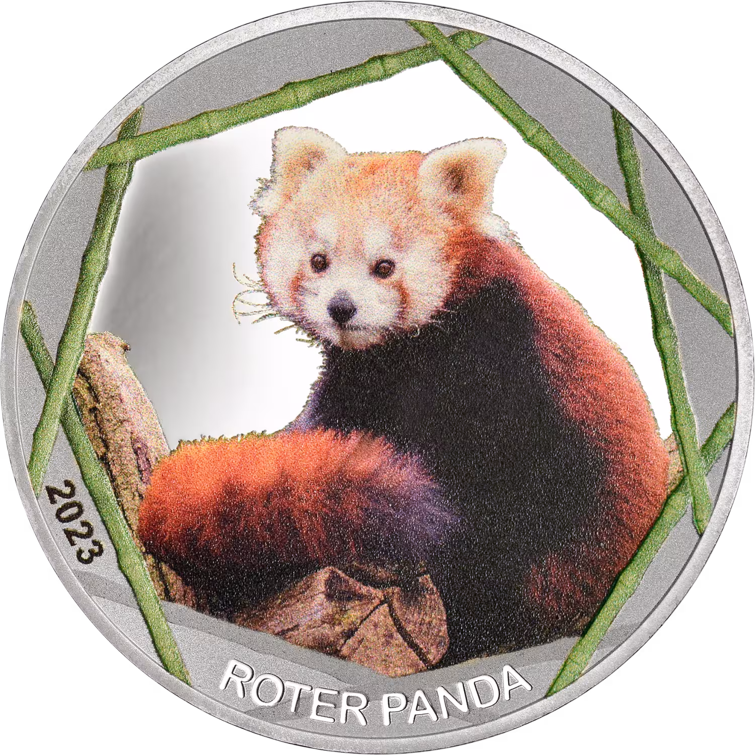 999/1000 Feinsilber Prägung, Roten Panda 2023 mit edler Farbveredelung