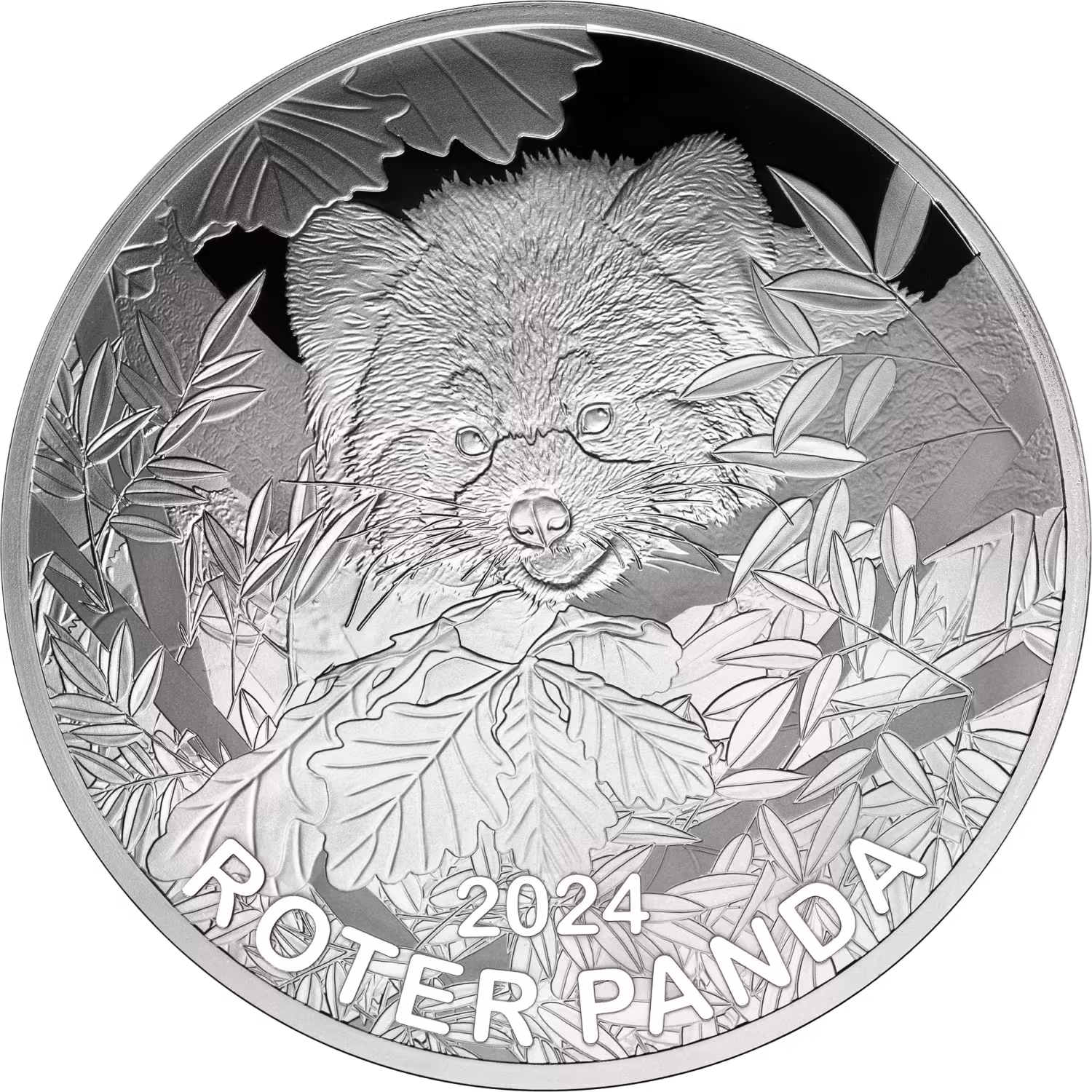 Roter Panda 65 mm 2024