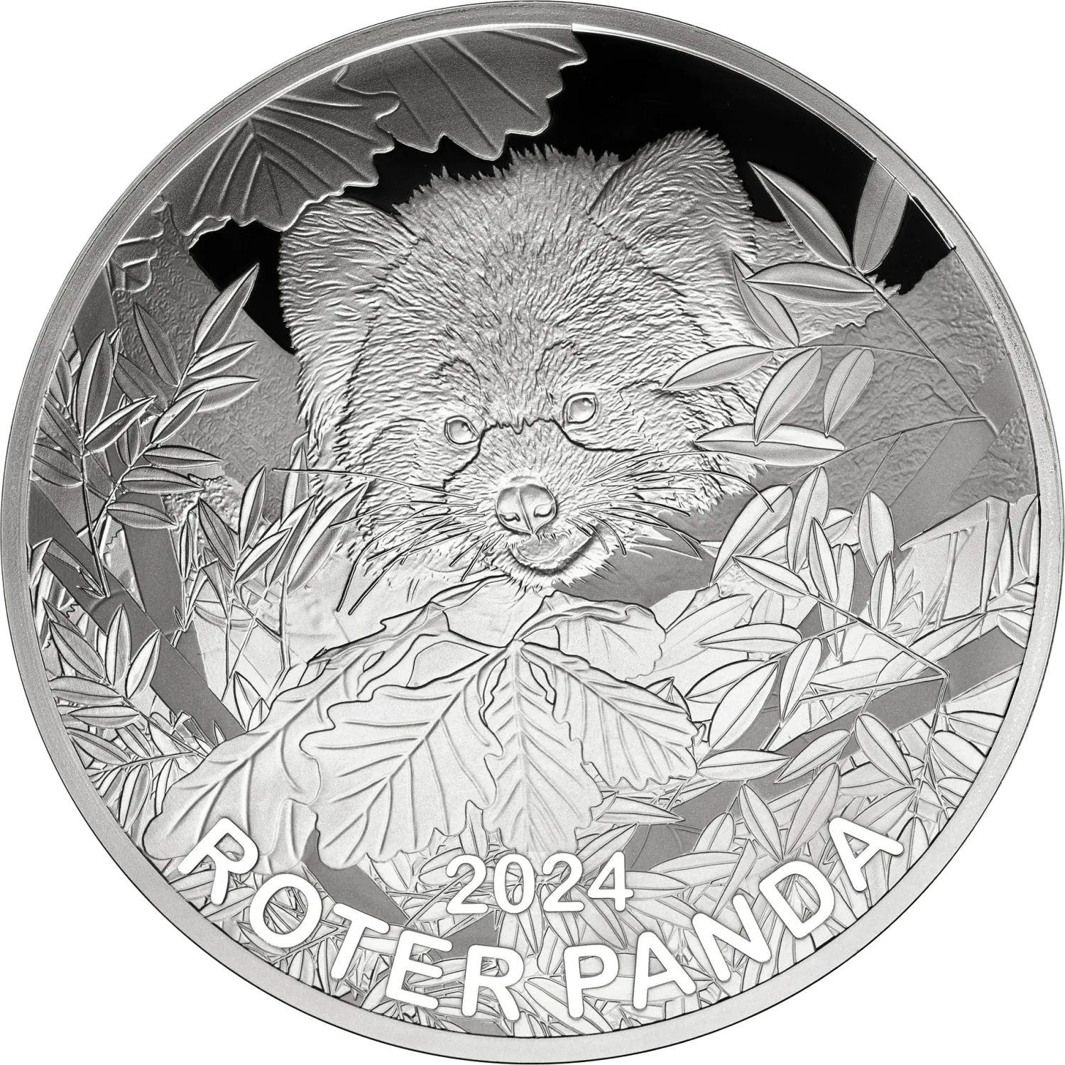 Roter Panda 65 mm 2024