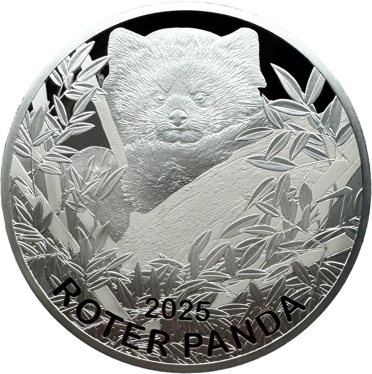 Roter Panda 65 mm 2025