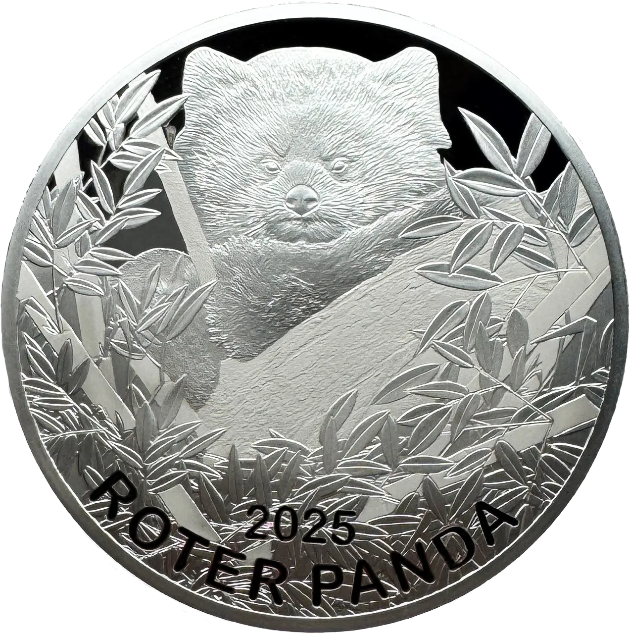 Roter Panda 65 mm 2025