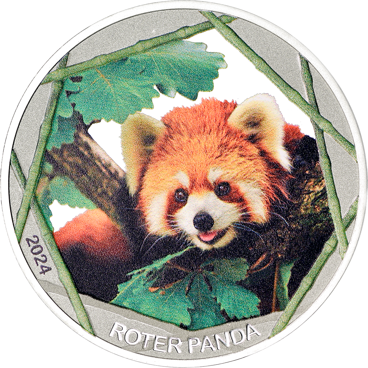 999/1000 Feinsilber Prägung, Roten Pandas 2024 mit edler Farbveredelung