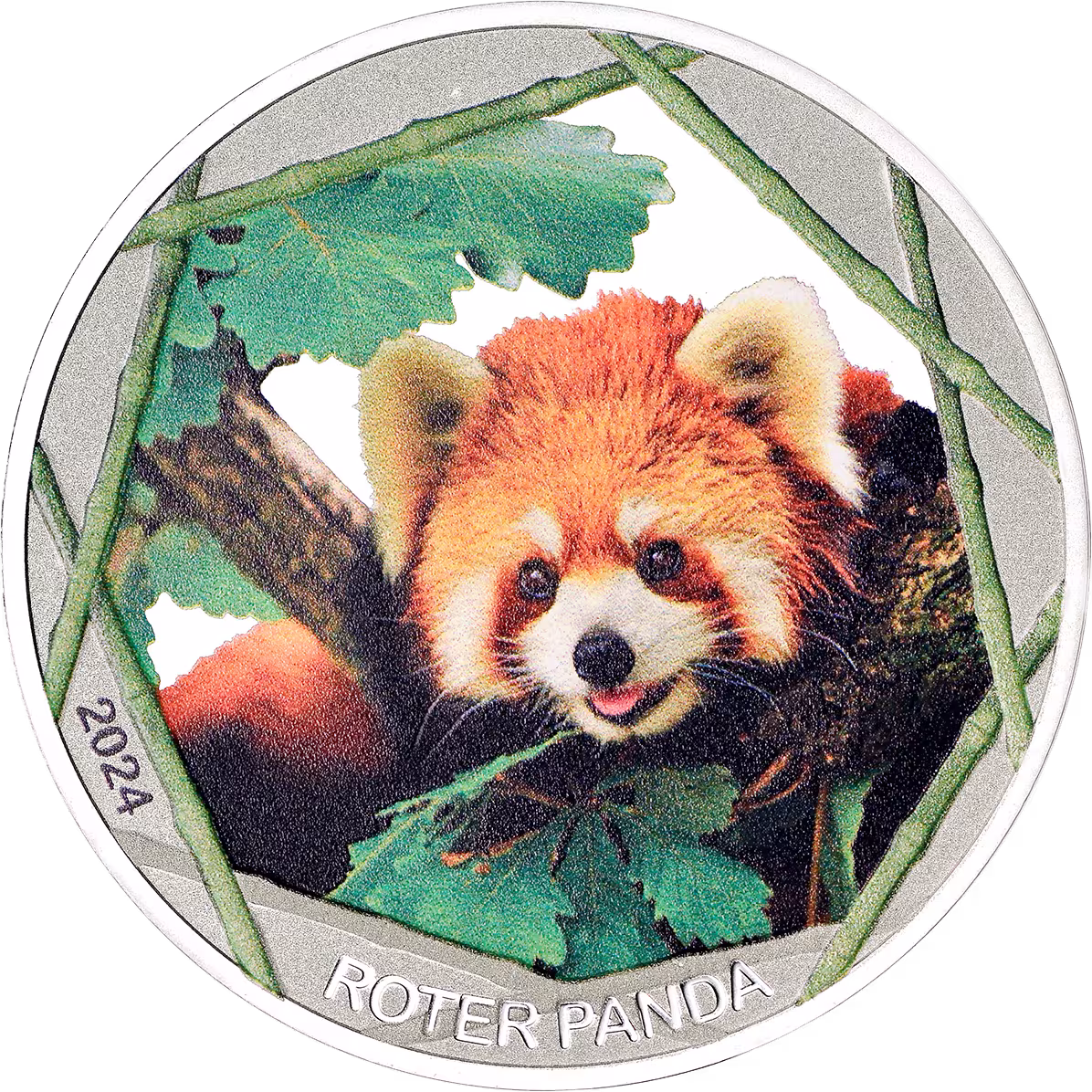 999/1000 Feinsilber Prägung, Roten Pandas 2024 mit edler Farbveredelung