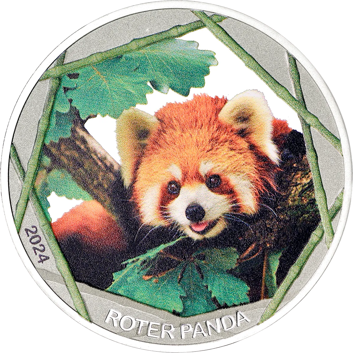 999/1000 Feinsilber Prägung, Roten Pandas 2024 mit edler Farbveredelung