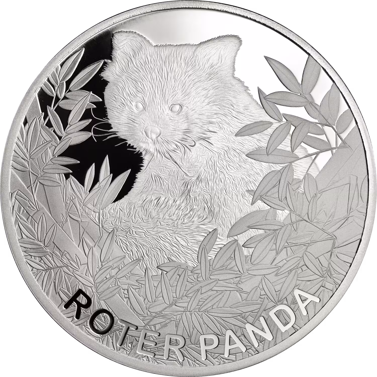 999/1000 Feinsilber Prägung, Roten Panda 2023, 65 mm, geprägter Panda, umrahmt mit Bambusblättern