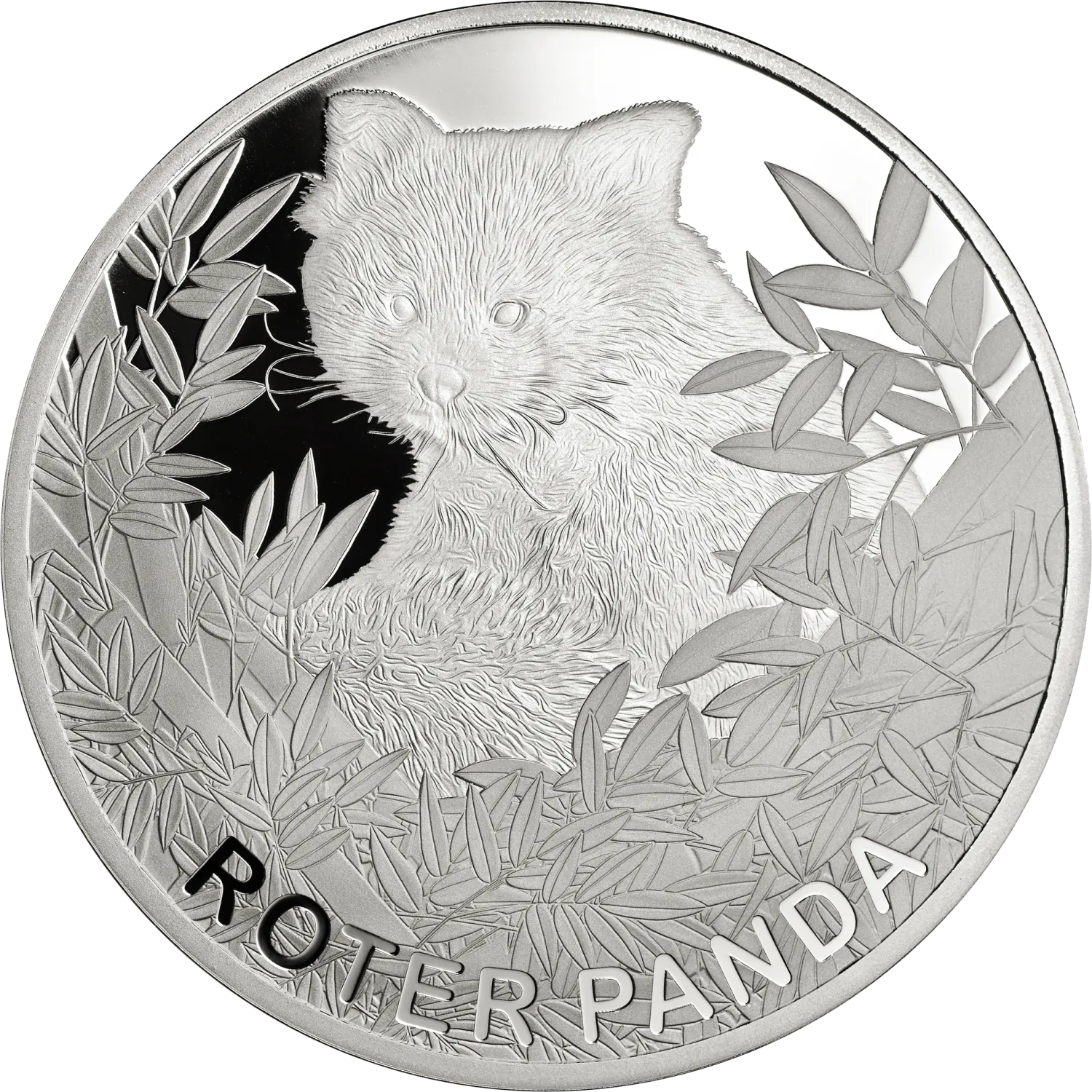 999/1000 Feinsilber Prägung, Roten Panda 2023, 65 mm, geprägter Panda, umrahmt mit Bambusblättern