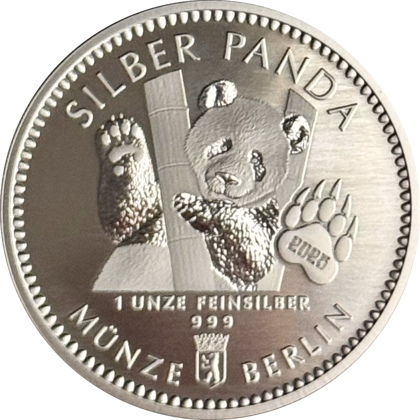 Silber Panda 2025 1 Unze