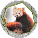Roter Panda 2023