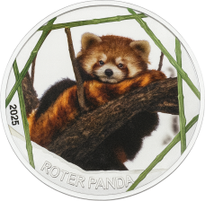 Roter Panda 2025