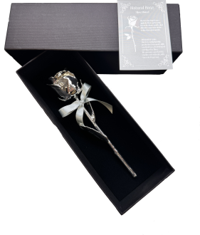 Rose versilbert