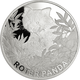 999/1000 Feinsilber Prägung, Roten Panda 2023, 65 mm, geprägter Panda, umrahmt mit Bambusblättern