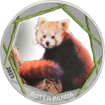 Roter Panda 2023
