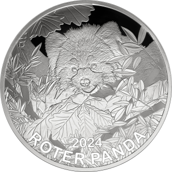 Roter Panda 65 mm 2024