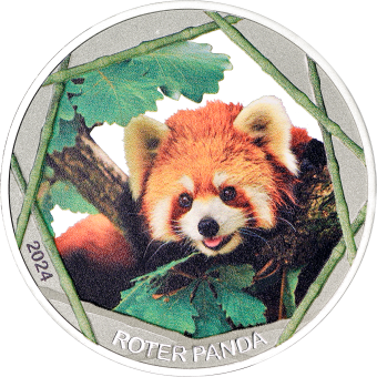 999/1000 Feinsilber Prägung, Roten Pandas 2024 mit edler Farbveredelung