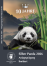 Silber Panda 2026 1/2 Unze