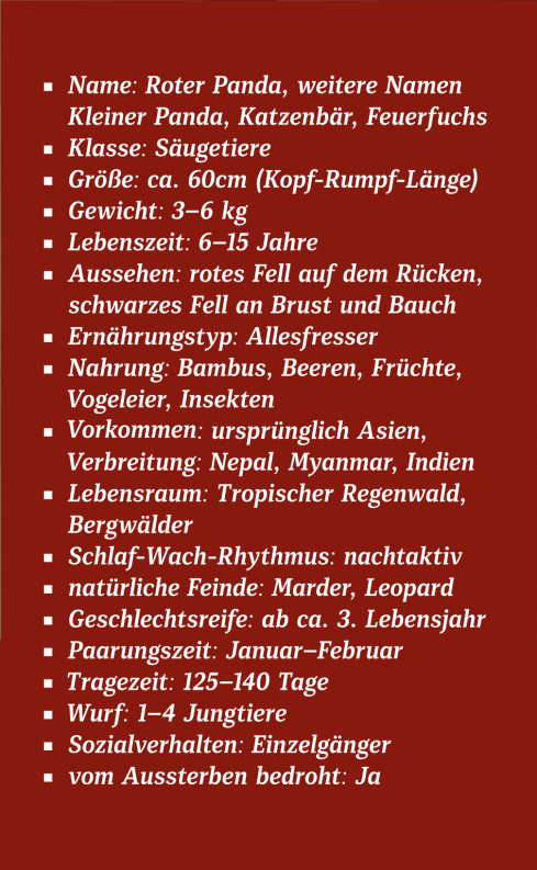 Roter Panda 2025