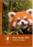 Roter Panda 2026