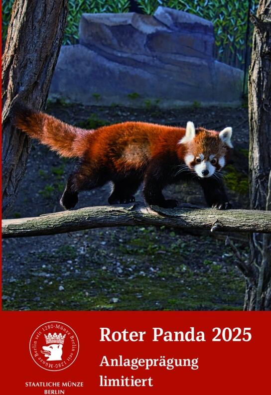 Roter Panda 2025