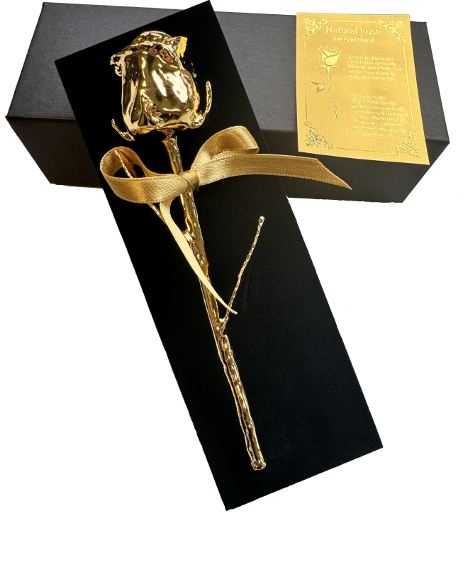 Natürlich gewachsene 16 - 18 cm große Rose, sie ist 24 Karat vergoldet und wird in einer edlen