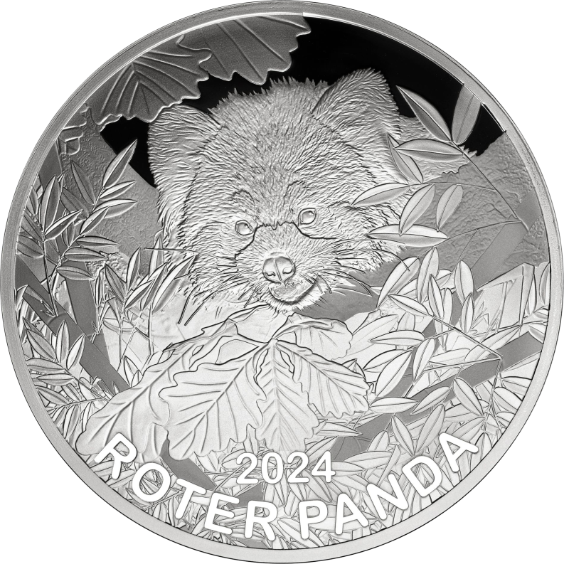 Roter Panda 65 mm 2024