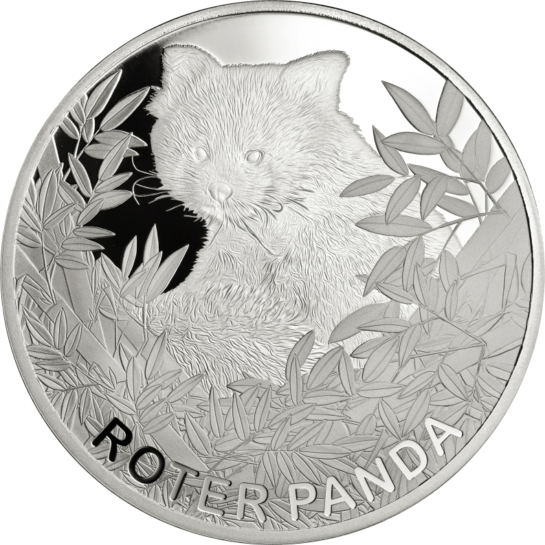 999/1000 Feinsilber Prägung, Roten Panda 2023, 65 mm, geprägter Panda, umrahmt mit Bambusblättern