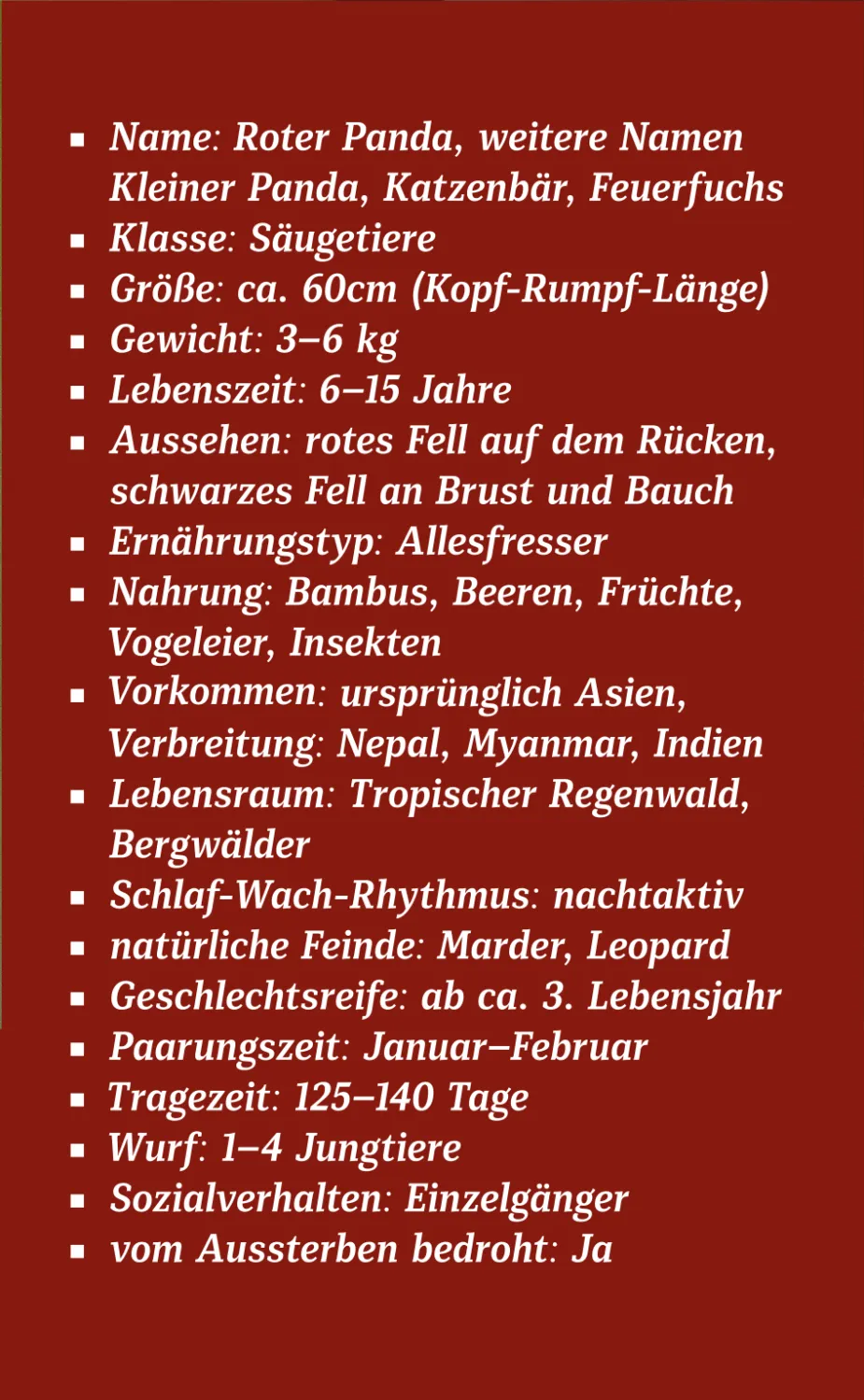 Steckbrief des Roten Pandas auf der Rückseite der Klappkarte
